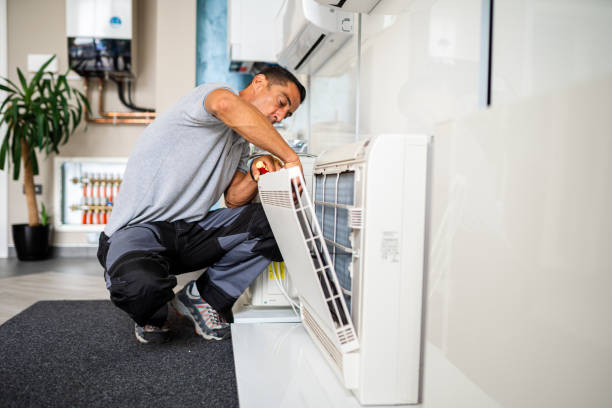 Best Home Air Vent Cleaning  in Elk Mound, WI