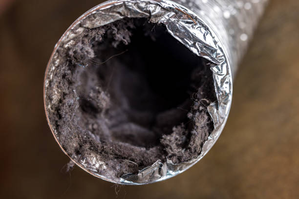 Best Air Duct Cleaning Company Near Me  in Elk Mound, WI