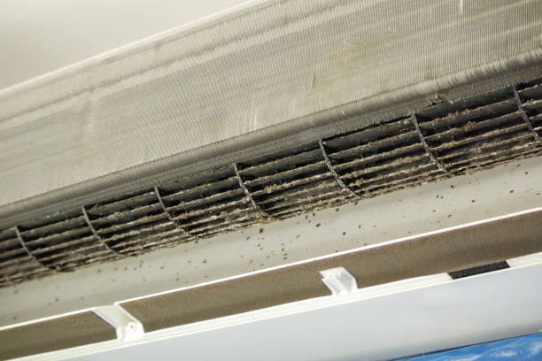 Best Ductwork Cleaning Services  in Elk Mound, WI
