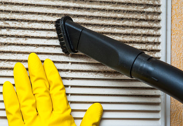Best HVAC Duct Inspection Services  in Elk Mound, WI